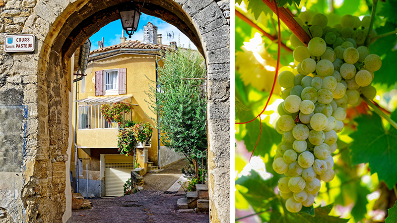 Till Ch�teauneuf-du-Pape