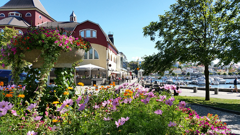Salta stnk i Bohusln