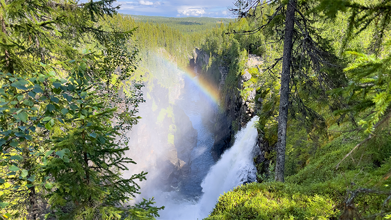 Vildmarksvgen till Vilhelmina